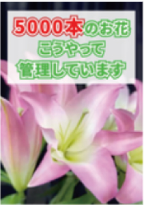 5000本のお花 こうやって管理しています