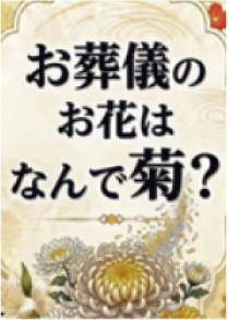 お葬儀のお花はなんで菊？